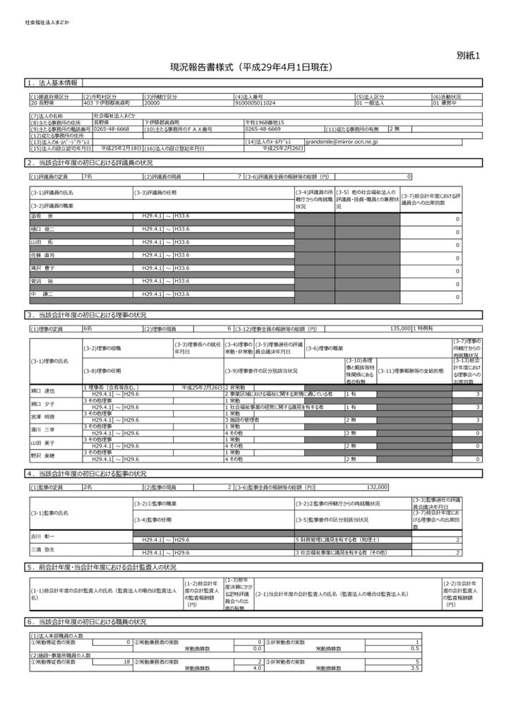 H29現況報告書_社会福祉法人まどかのサムネイル